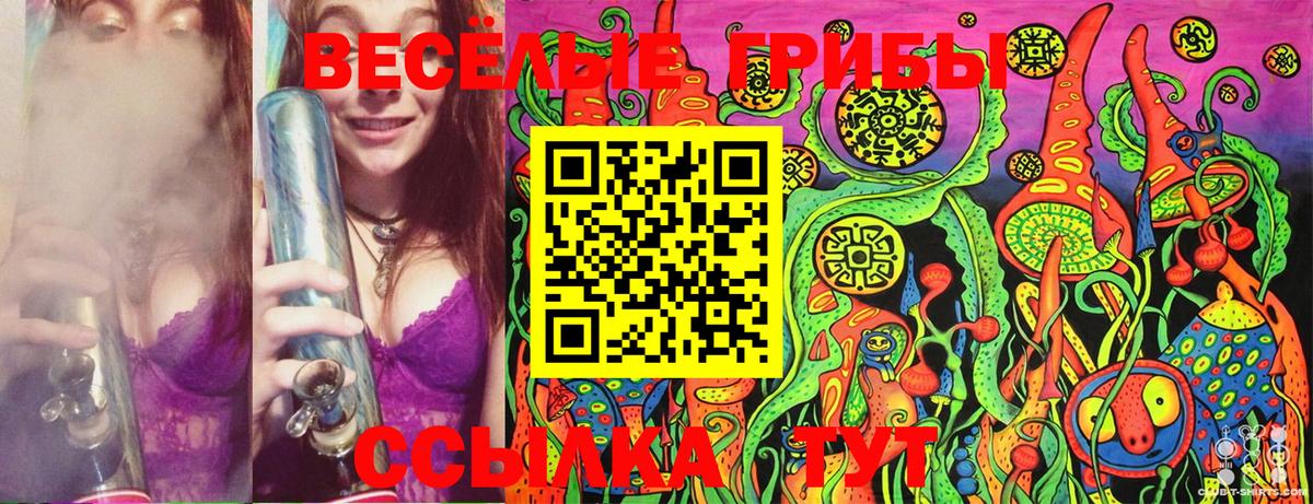 Самара  Псилоцибиновые грибы Cubensis  Вход с VPN 