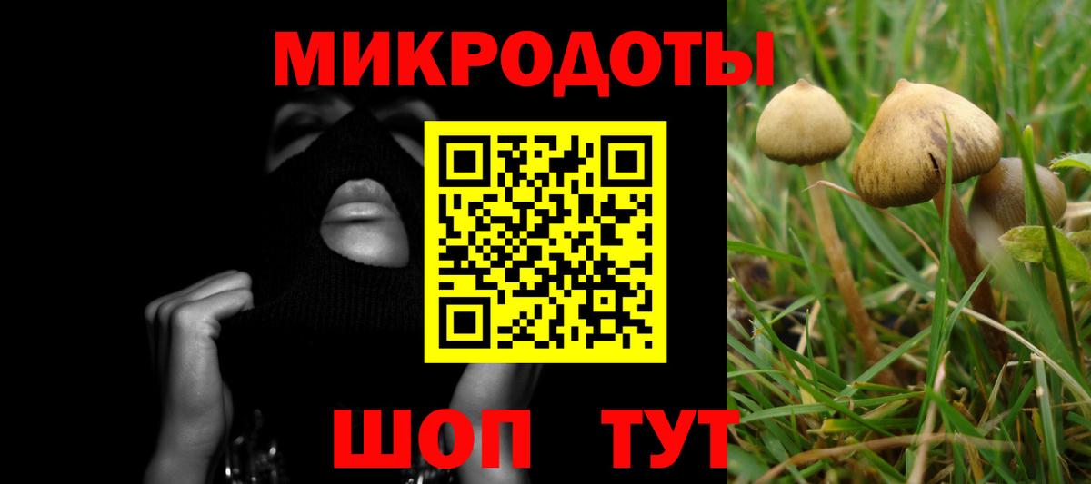 Галлюциногенные грибы Magic Shrooms Самара